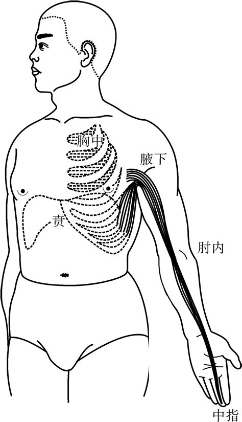 陰經